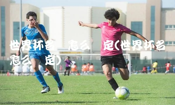 世界杯0.5名额 世界杯05名额怎么踢-第2张图片-www.211178.com_果博福布斯