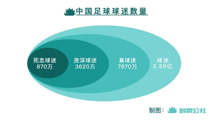 14亿人中仅有11个会踢球？探寻背后的原因与解决方法