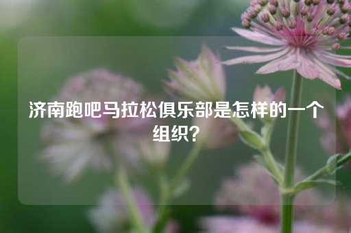 济南跑吧马拉松俱乐部是怎样的一个组织？-第1张图片-皇冠信用盘出租