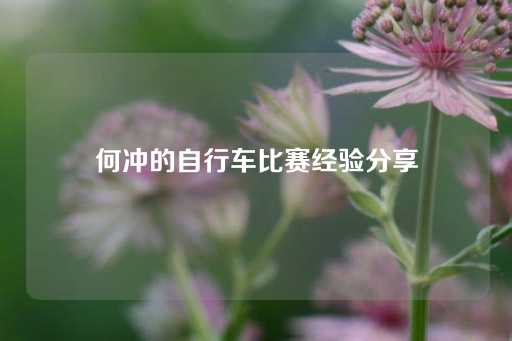 何冲的自行车比赛经验分享-第1张图片-皇冠信用盘出租