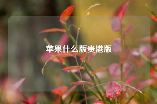 苹果什么版贵港版