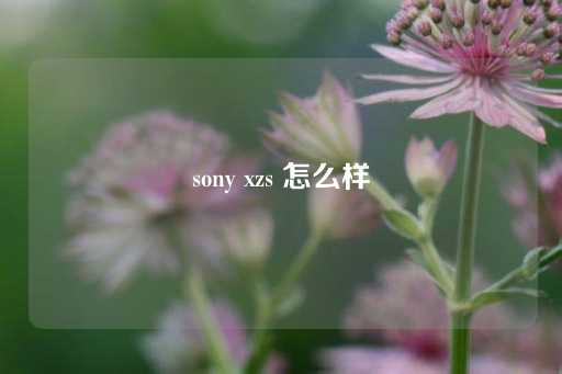 sony xzs 怎么样