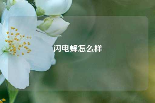 闪电蜂怎么样